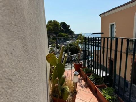 Swim Apartment Fronte Mare 卡塔尼亚 外观 照片